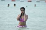 Payal Ghosh (Harika) in Bikini Swimwear Photoshoot on 30th May 2010 (83).JPG